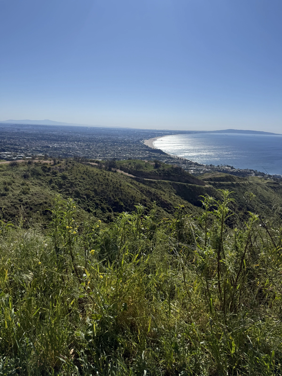 Vista del sendero Paseo Miramar hacia la costa