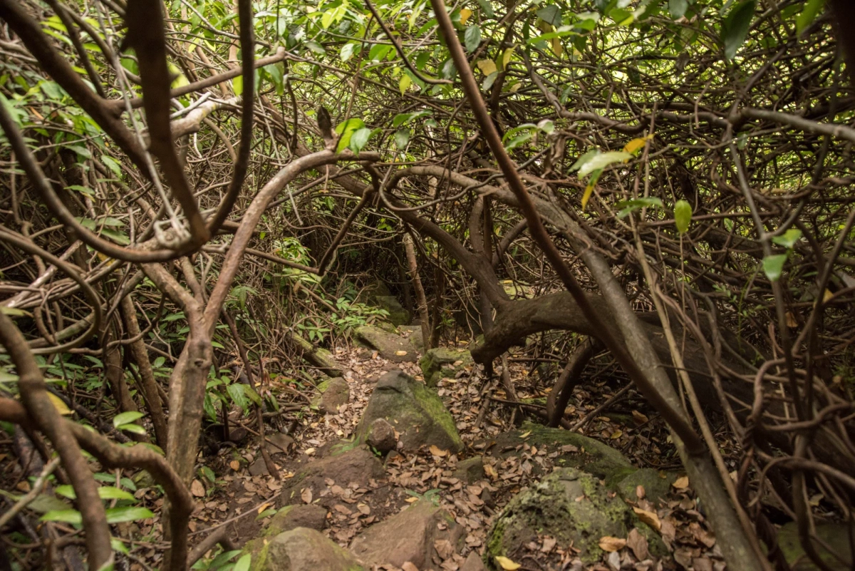 Le sentier Kalla, un des endroits les plus techniques de la Diagonale des fous