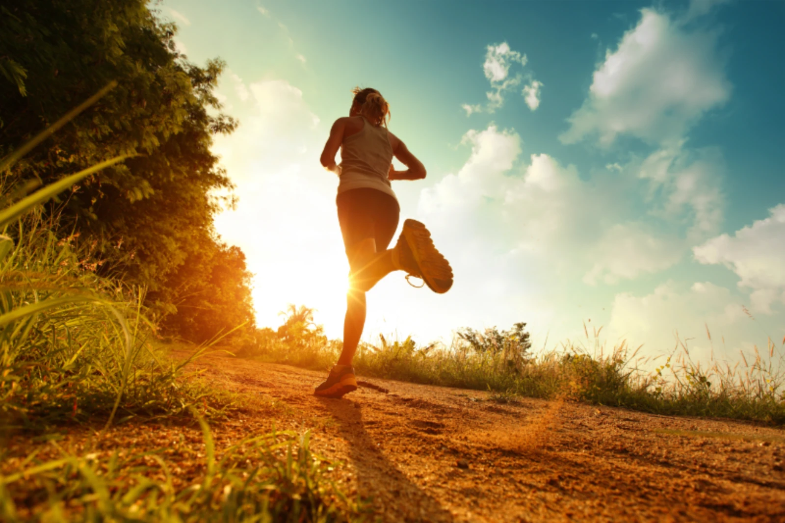 Lauf Zwischen Den Meeren